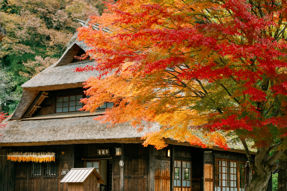 tokyo-mountfuji-kawaguchiko-japan-rewedding-photography-bridal-photography-luke-lifevisionstudio.jpg---17