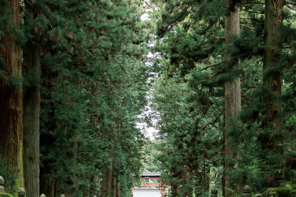 tokyo-mountfuji-kawaguchiko-japan-rewedding-photography-bridal-photography-luke-lifevisionstudio.jpg---17