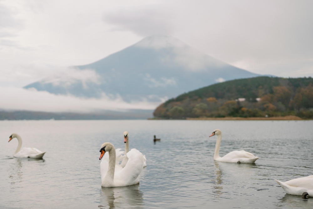 tokyo-mountfuji-kawaguchiko-japan-rewedding-photography-bridal-photography-luke-lifevisionstudio.jpg---1