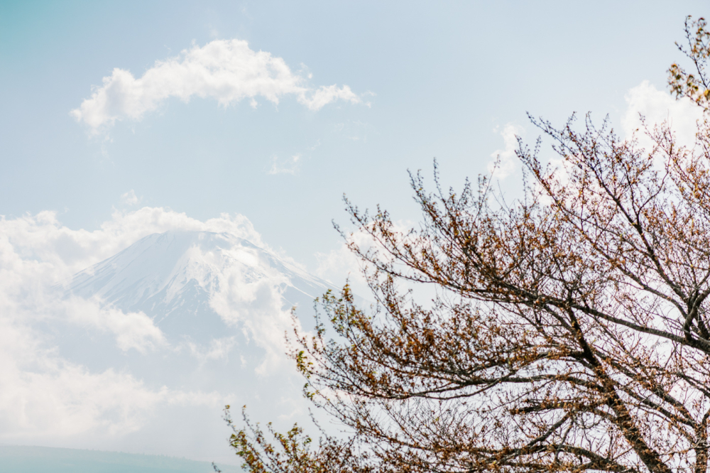 tokyo-mountfuji-kawaguchiko-japan-rewedding-photography-bridal-photography-luke-lifevisionstudio.jpg---104