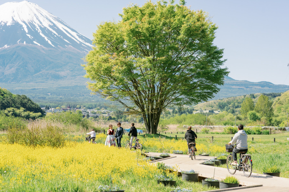 tokyo-mountfuji-kawaguchiko-japan-rewedding-photography-bridal-photography-luke-lifevisionstudio.jpg---24