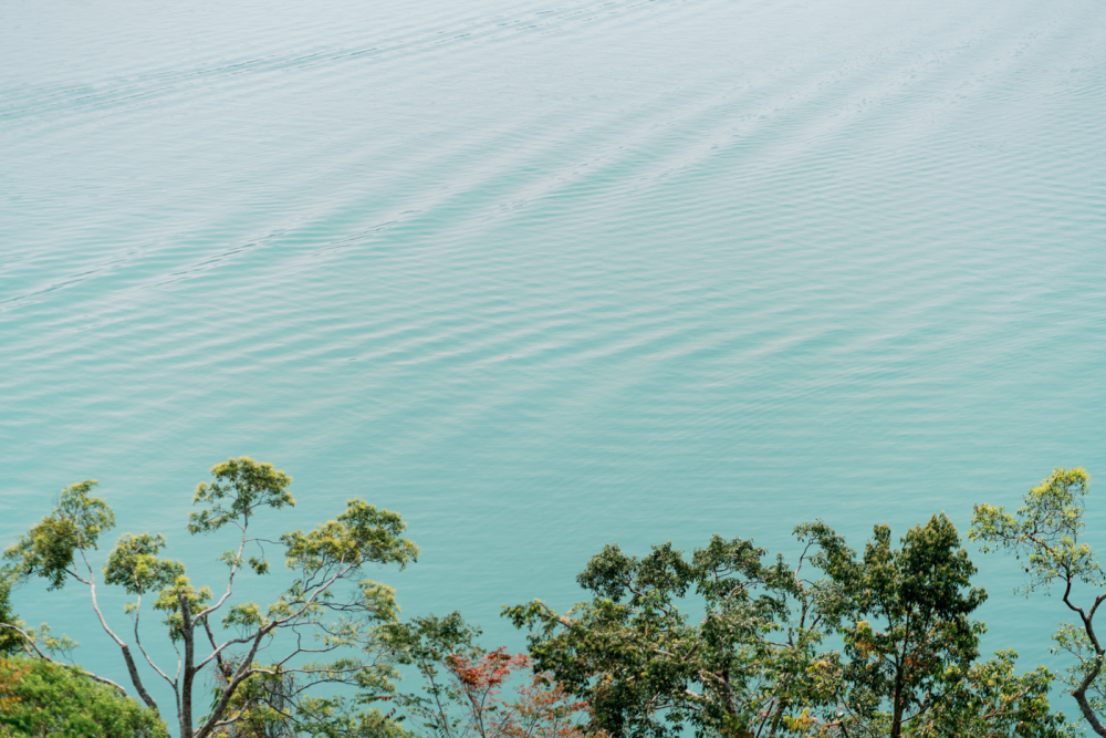 the-lalu-wedding-phtography-by-lifevision-luke-nantou-max-27