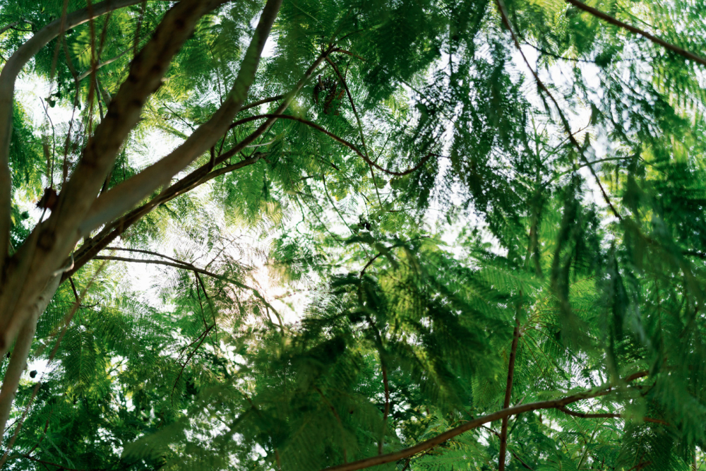 venamanor-wedding-phtography-by-lifevision-luke-changhua-nini-50