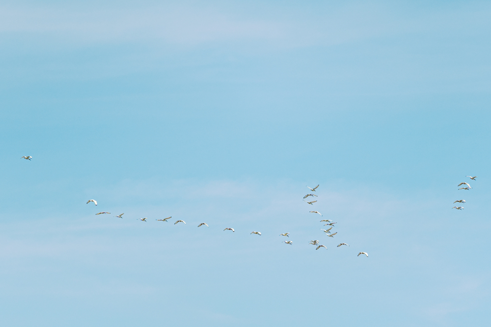 venice-italy-rewedding-photography-bridal-photography-luke-lifevisionstudio.jpg---21